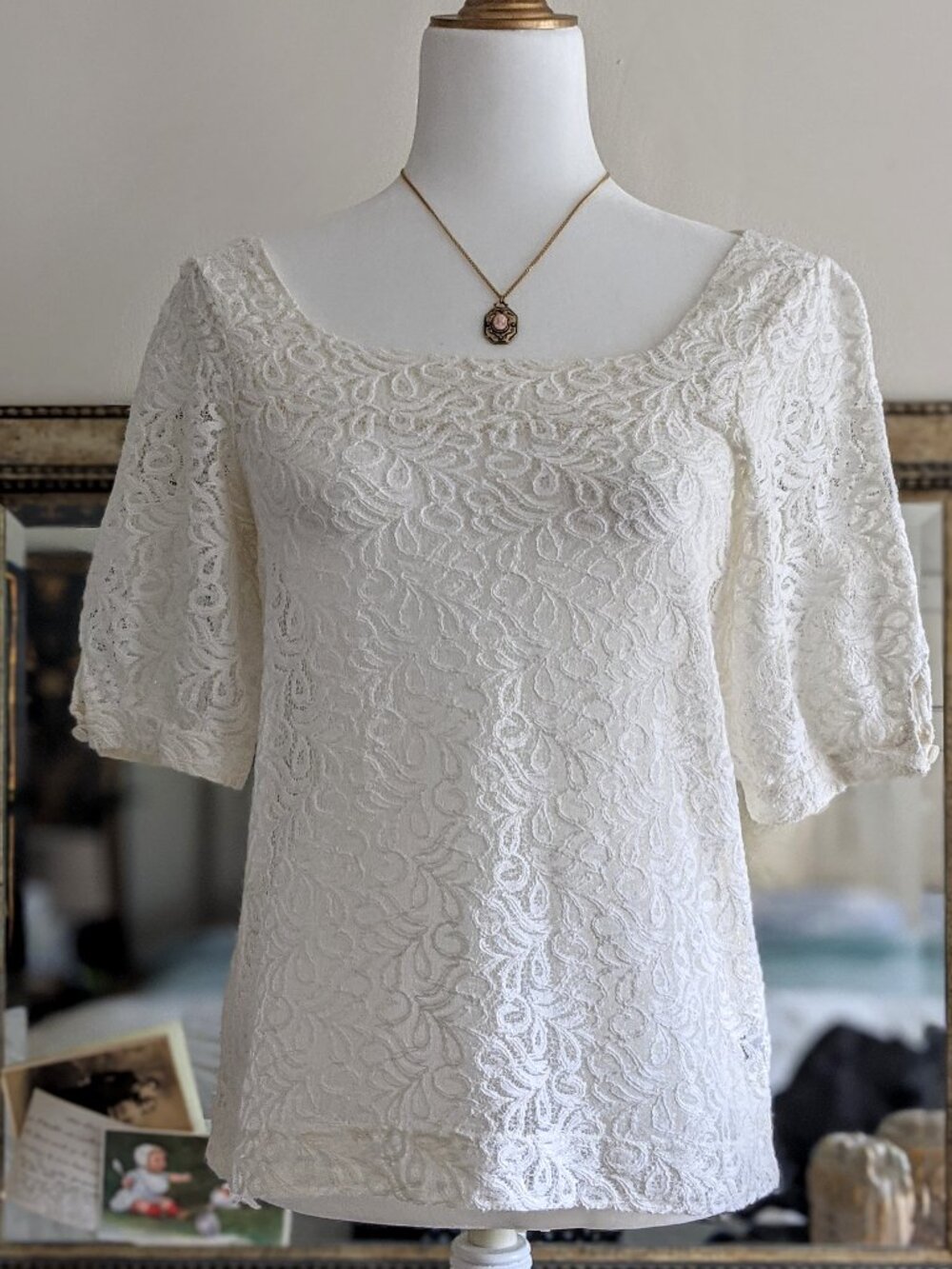 The Limited M Cotton Blend Romantic Guipure Lace Sheer Top Short Slv Beautiful
